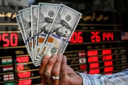 نرخ ارز در بازارهای مختلف 24 تیرماه/ دلار گران و یورو ارزان شد