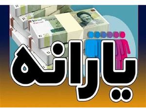 کدام خانوارها از این ماه ۲ یارانه دریافت می‌کنند؟
