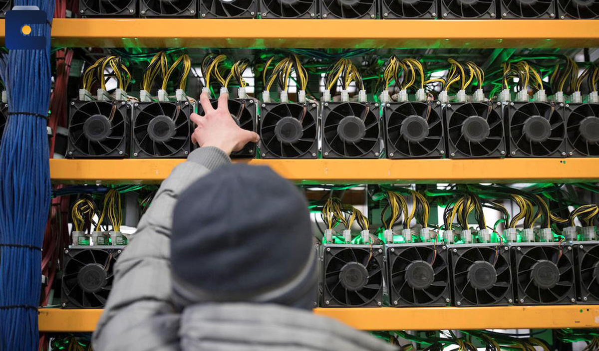 ماینر معرفی کنید،و ۲۰۰ میلیون پاداش بگیرید! 